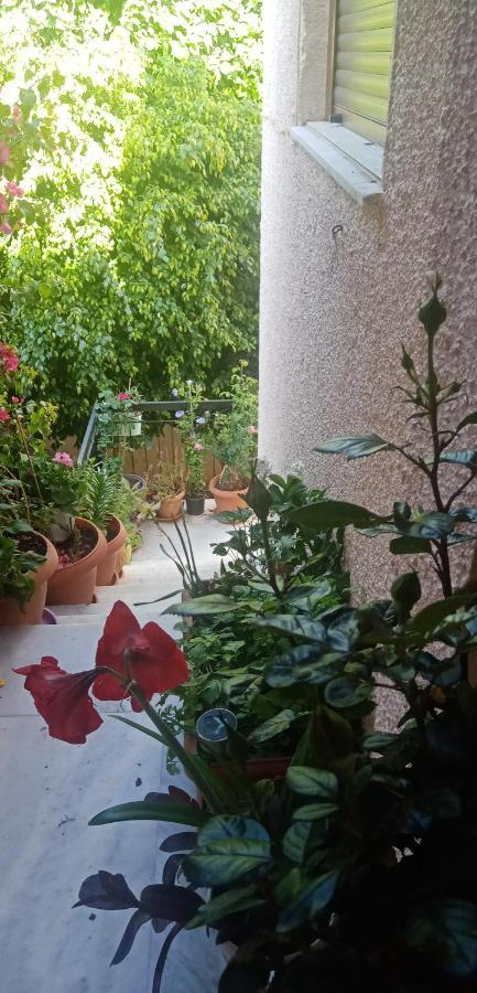 Aegina'S Flowers House Eksteriør bilde