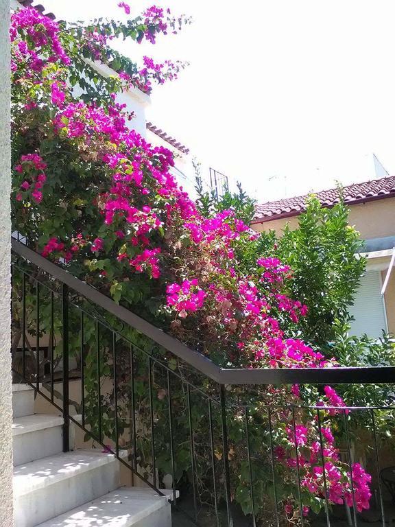 Aegina'S Flowers House Eksteriør bilde