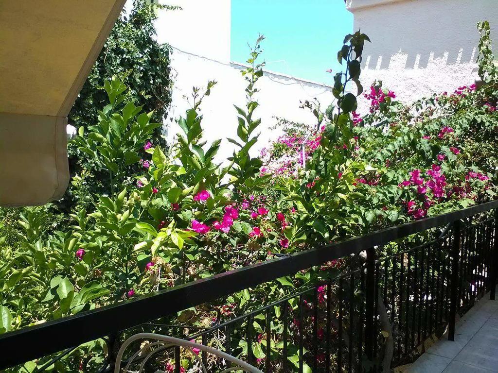 Aegina'S Flowers House Eksteriør bilde