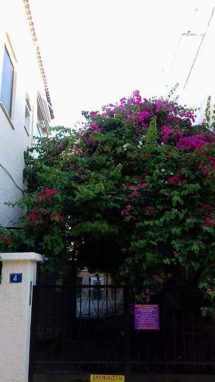 Aegina'S Flowers House Eksteriør bilde