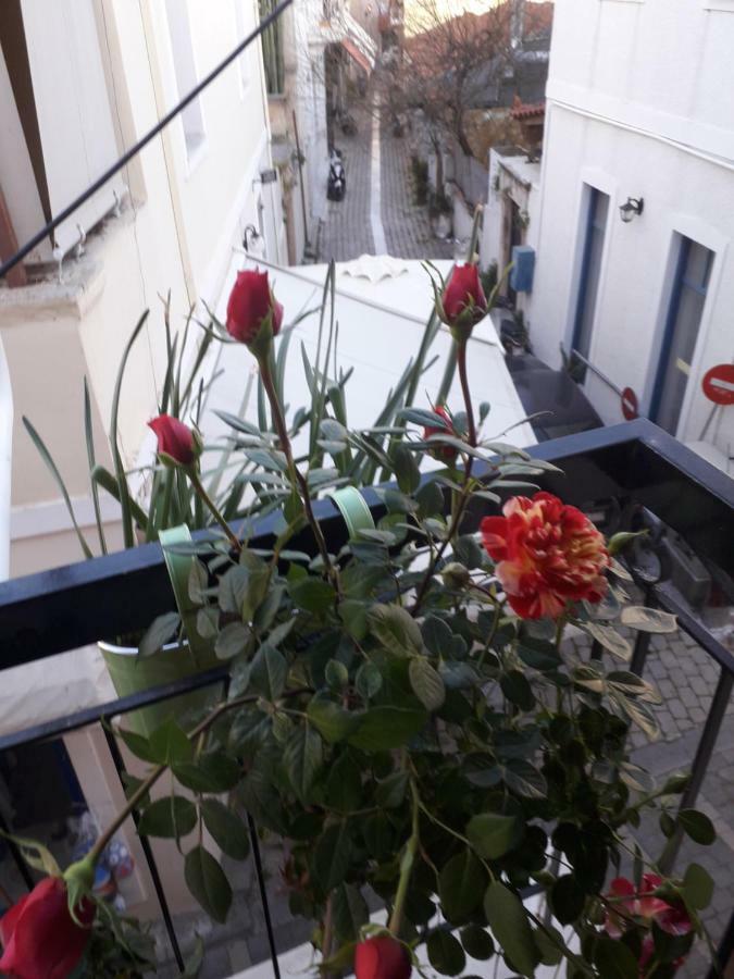 Aegina'S Flowers House Eksteriør bilde