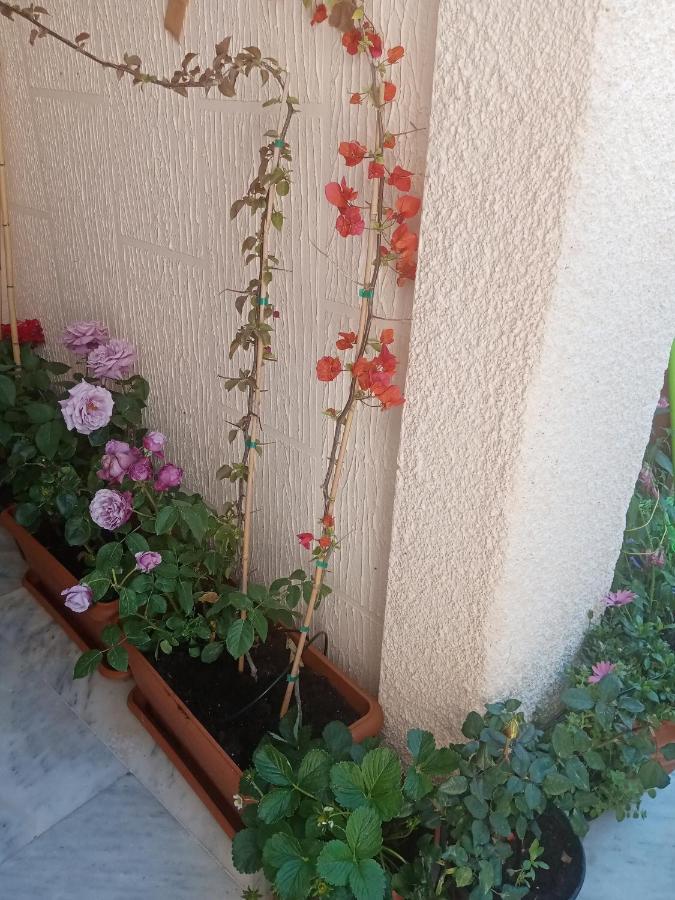 Aegina'S Flowers House Eksteriør bilde
